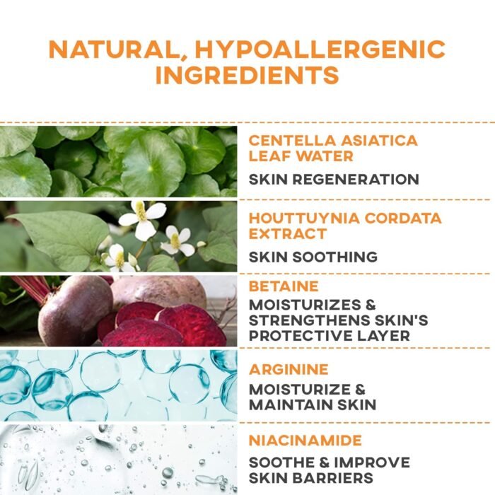 81idrXSGZLL._SL1500_