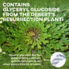 81sQwk+j04L._SL1500_