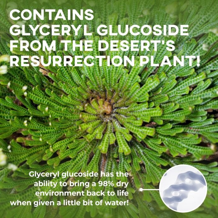 81sQwk+j04L._SL1500_