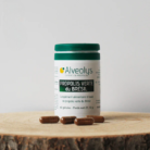 Alveolys Propolis Verte 60 gélules | LABELPARA
